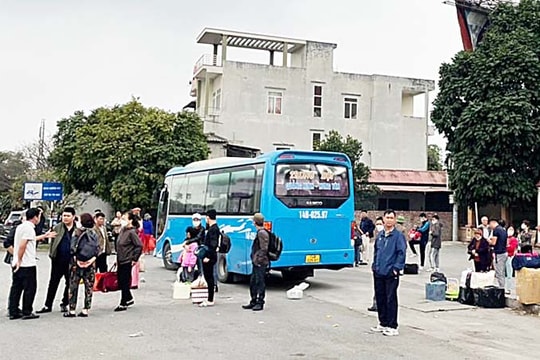 Mối nguy từ sử dụng giấy phép lái xe giả